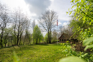 Gartenansicht mit Haus im Hintergrund